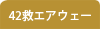 42~GAEF[