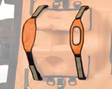 50_0001chinstrap